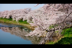 太平川水鏡1