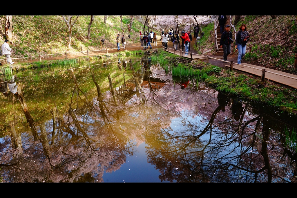 高遠城跡公園2