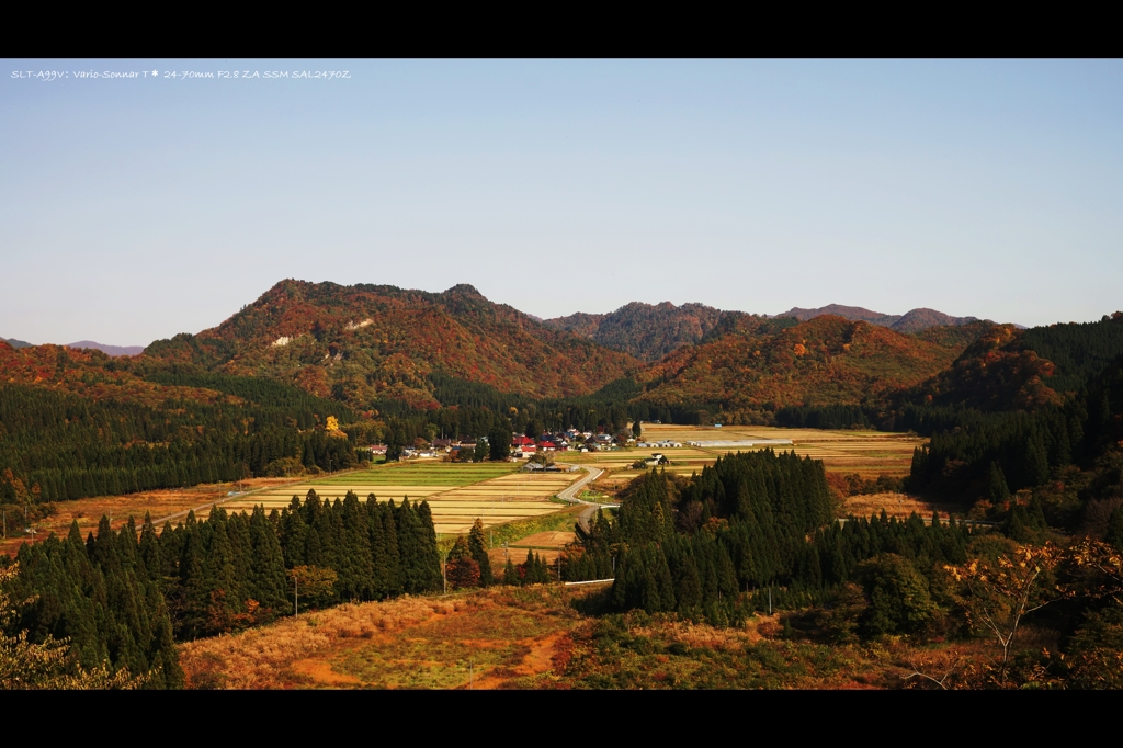 秋景2