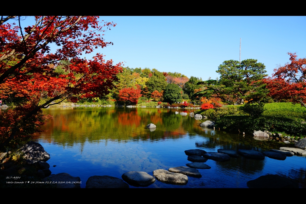 昭和記念公園2