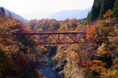 秘橋（秘境）？