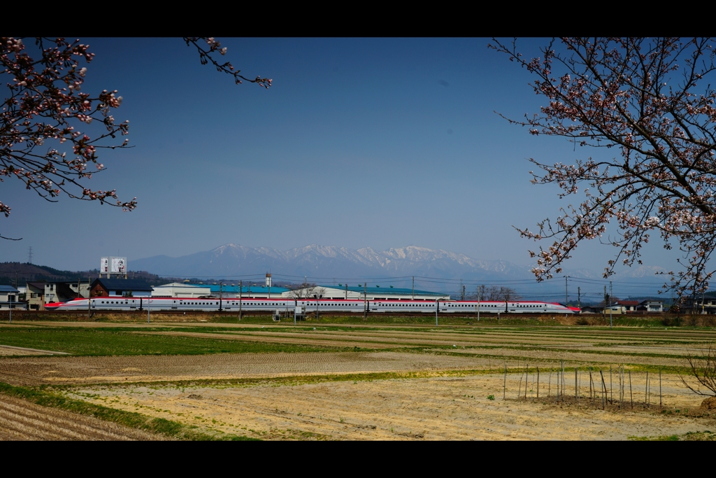 太平山とこまち