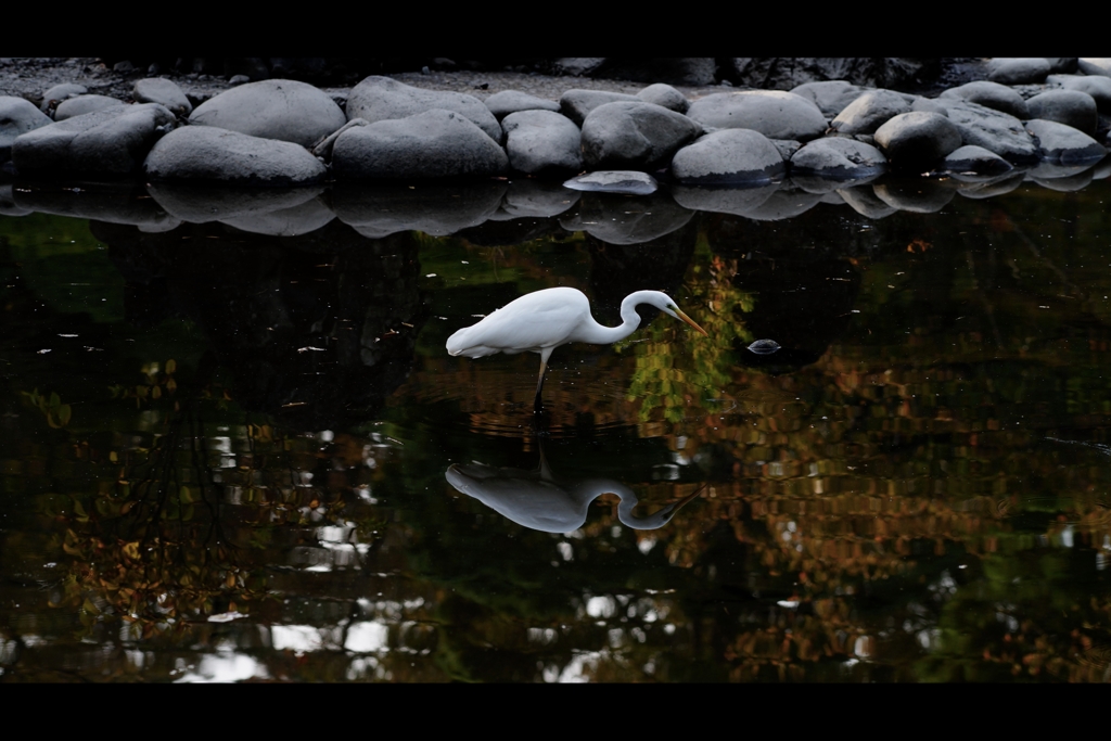 公園の住人2