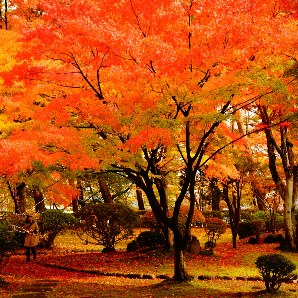 千秋公園