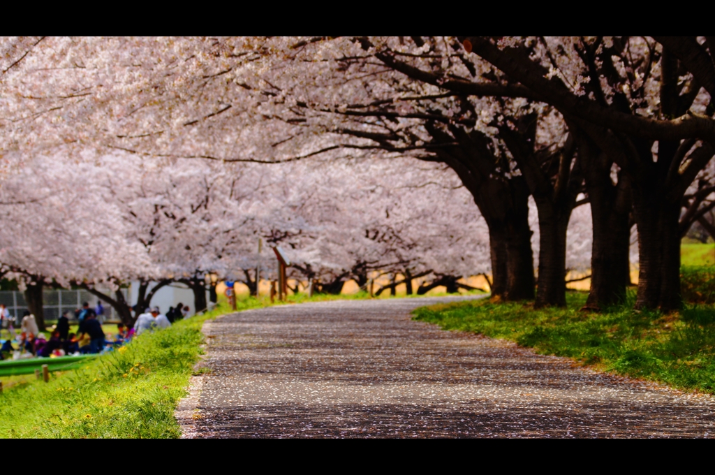 川越水上公園2