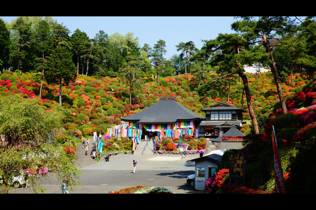 塩船観音寺1