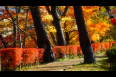 千秋公園5