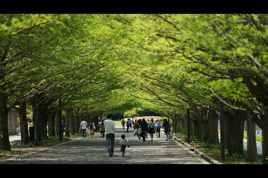 昭和記念公園4