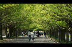 昭和記念公園4