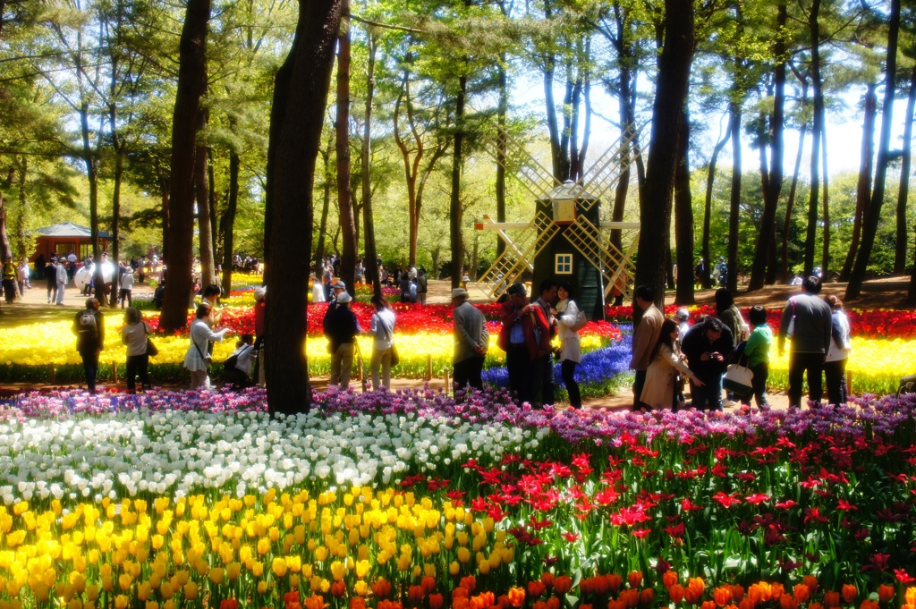ひたち海浜公園