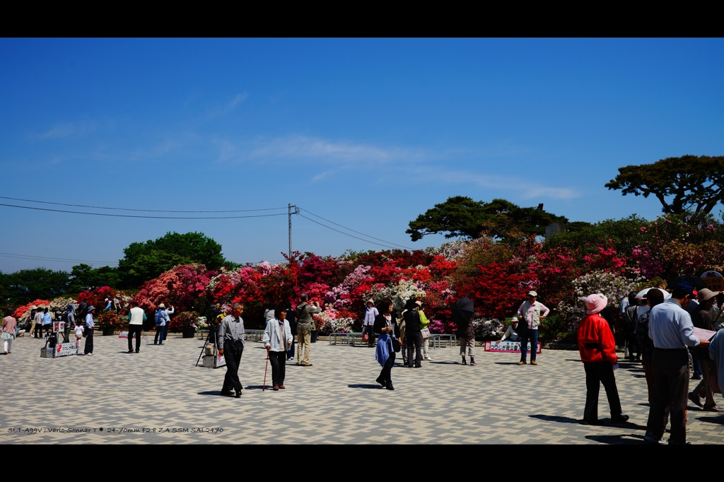 館林つつじが岡公園1