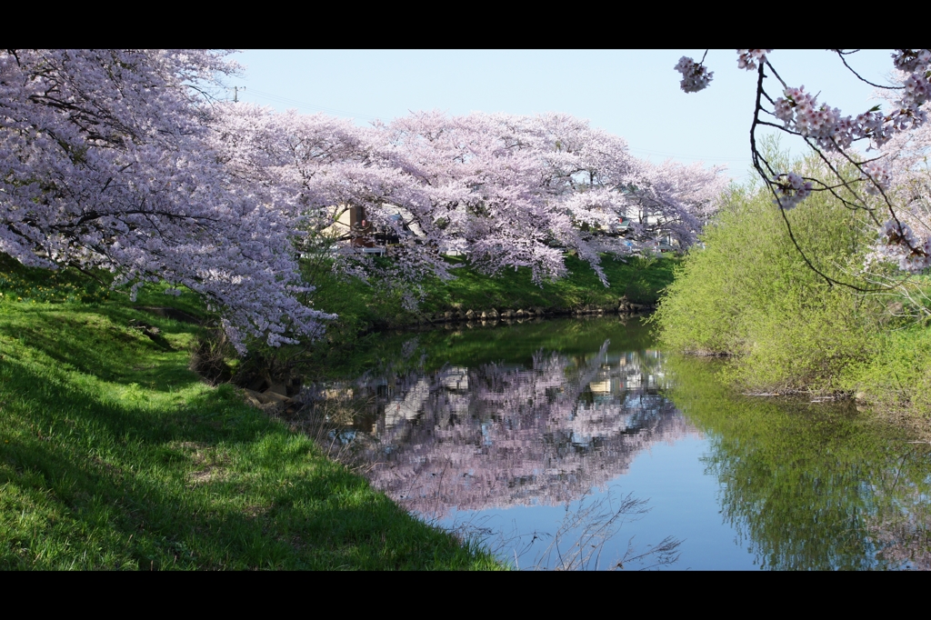 太平川水鏡