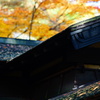 屋根と紅葉8