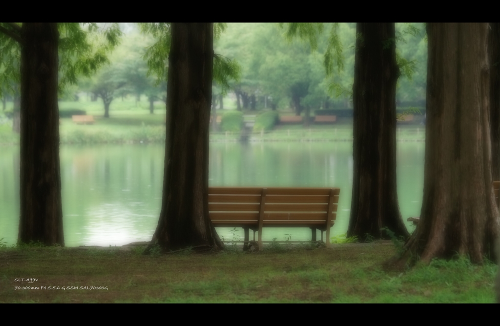 雨上がり