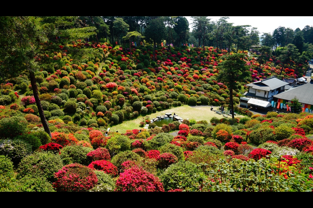 塩船観音寺4