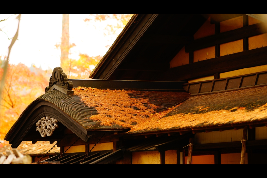 屋根と紅葉5