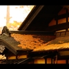 屋根と紅葉5