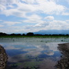梅雨明け二日目