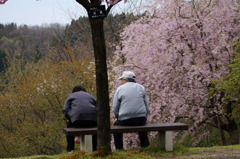 孝行