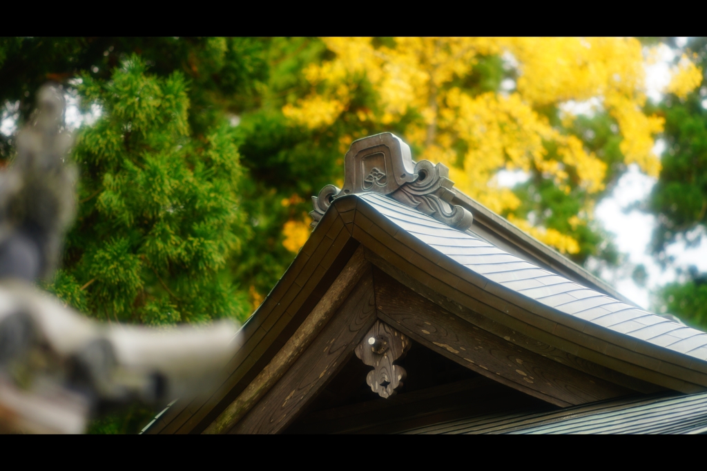 屋根と紅葉2
