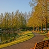 朝の公園2