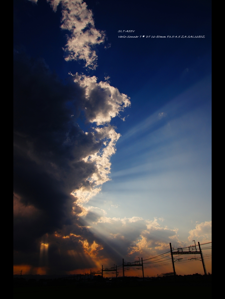 夏・空