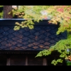 屋根と紅葉10