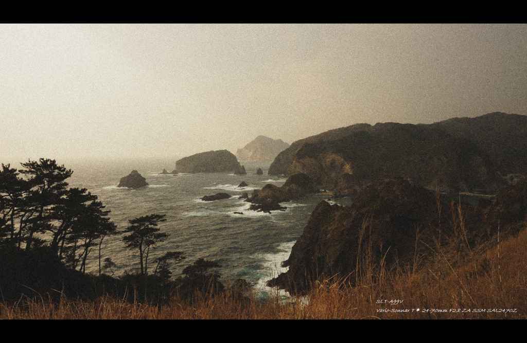 ノイズの海岸