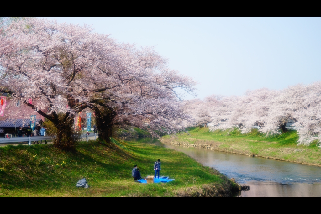 太平川堤防1