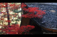 平林寺2
