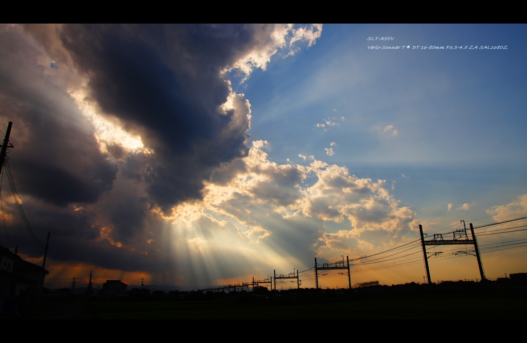 夏・空Ⅱ