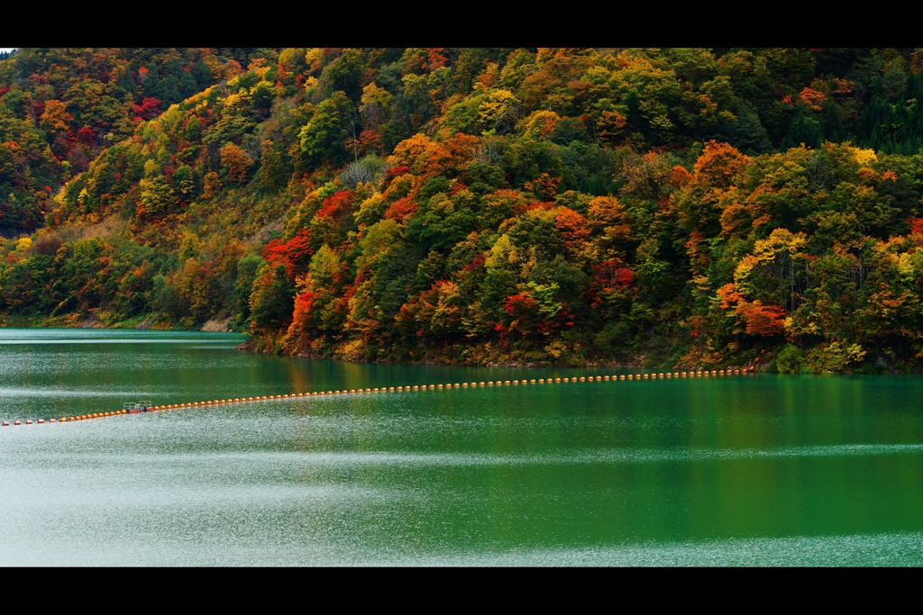 宝仙湖