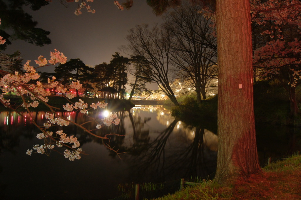 向こうは観桜会