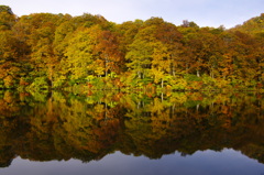 紅葉　長野-鎌池-