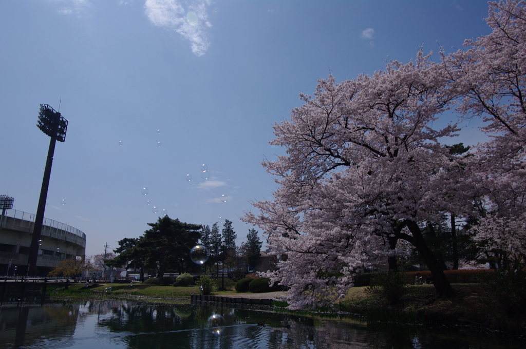 敷島公園