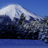 雪化粧