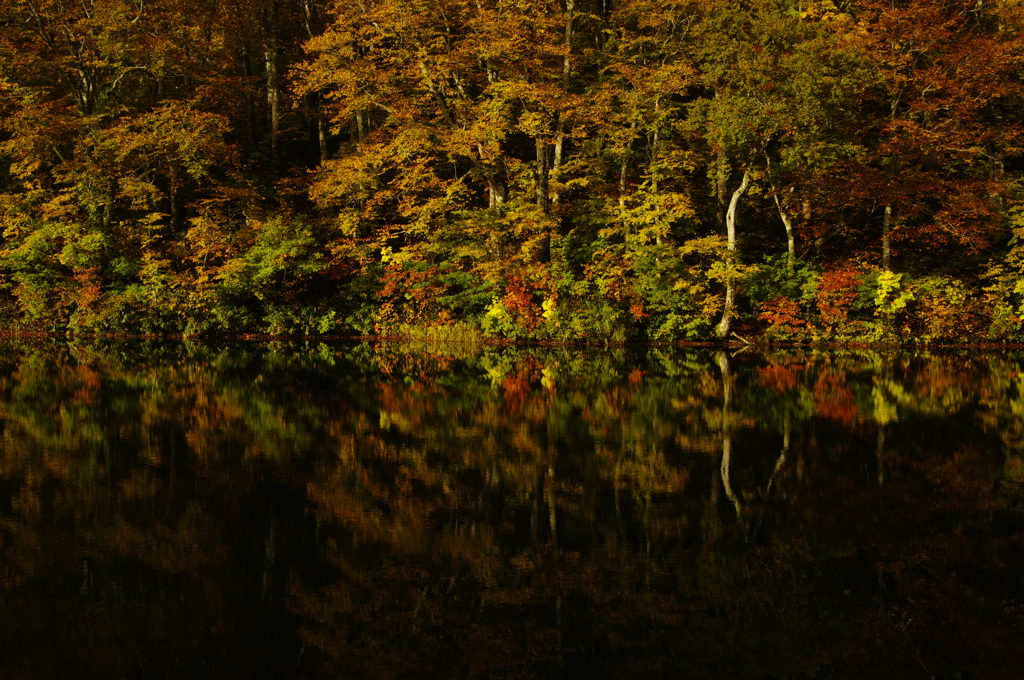 紅葉　長野-鎌池-