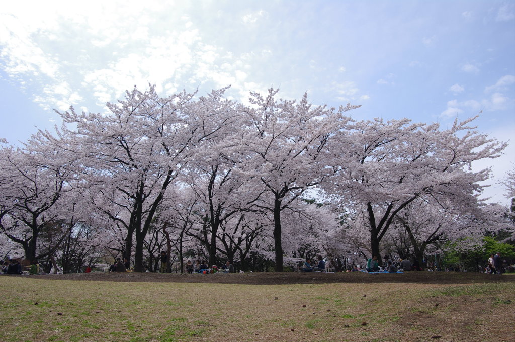 敷島公園2