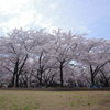 敷島公園2