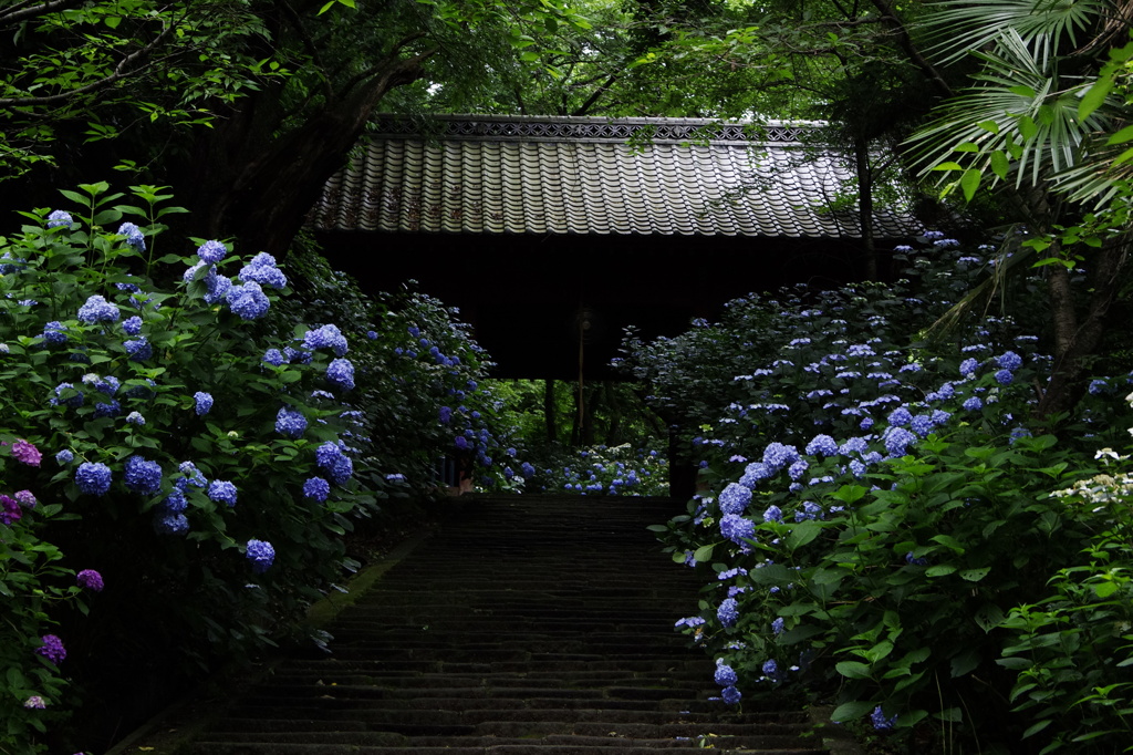 清水寺　-高崎市-