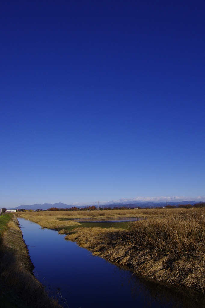 朝の多々良沼公園