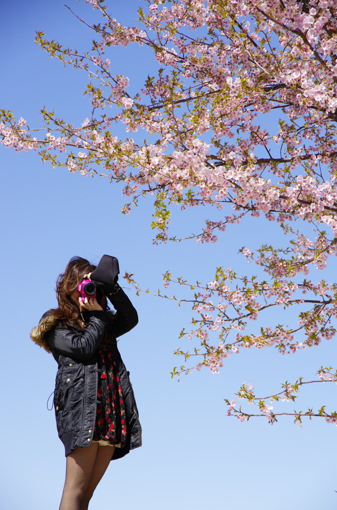 カメラ女子 -桜-