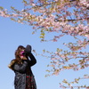 カメラ女子 -桜-