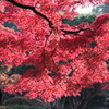 明治村