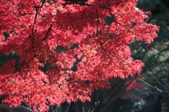 明治村