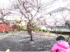 春の訪れ