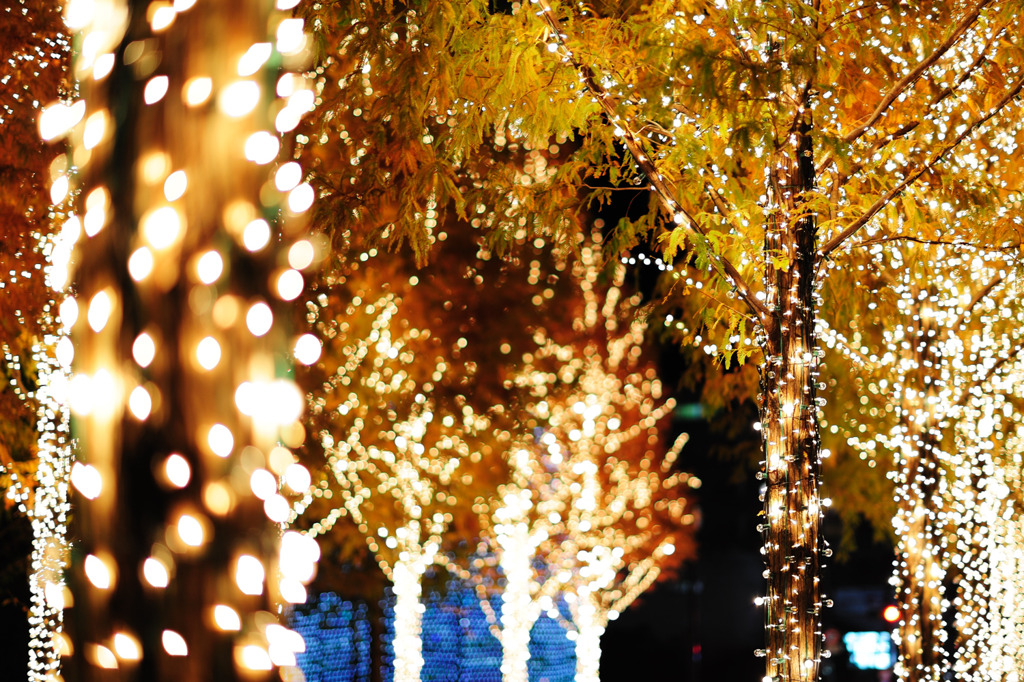 Illuminated street