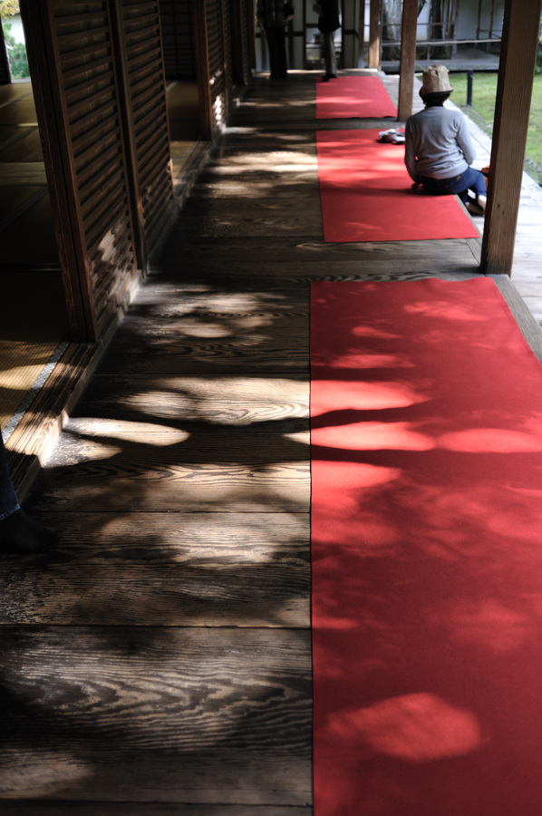 Red Carpet