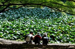 Prelude to summer