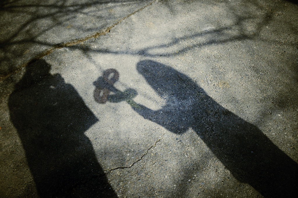 Me and My...